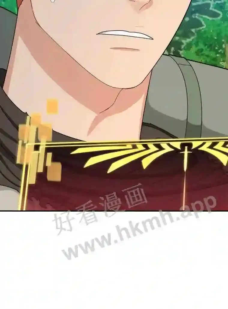 3.S级权能44