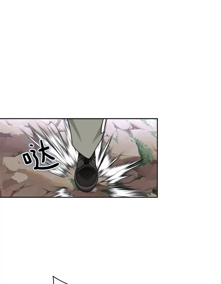 66.伙伴48