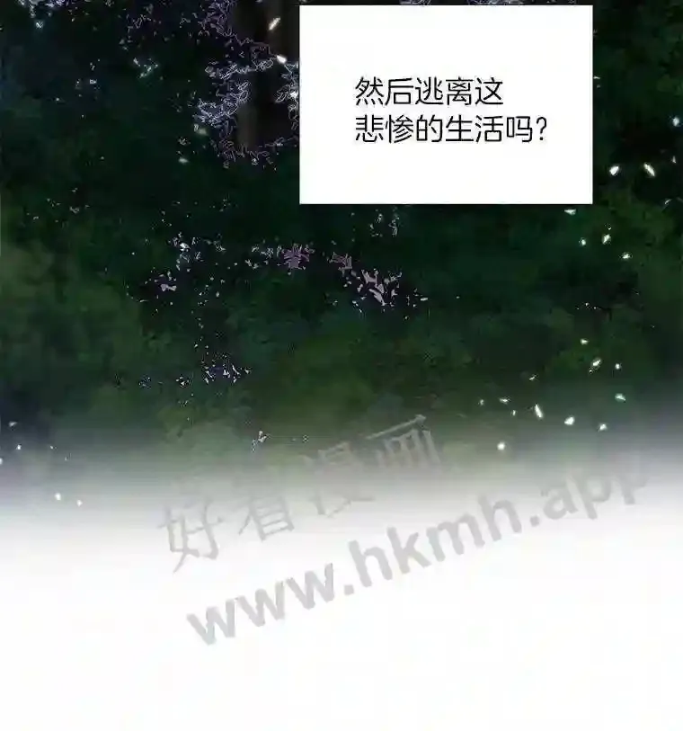 1.斗犬场50