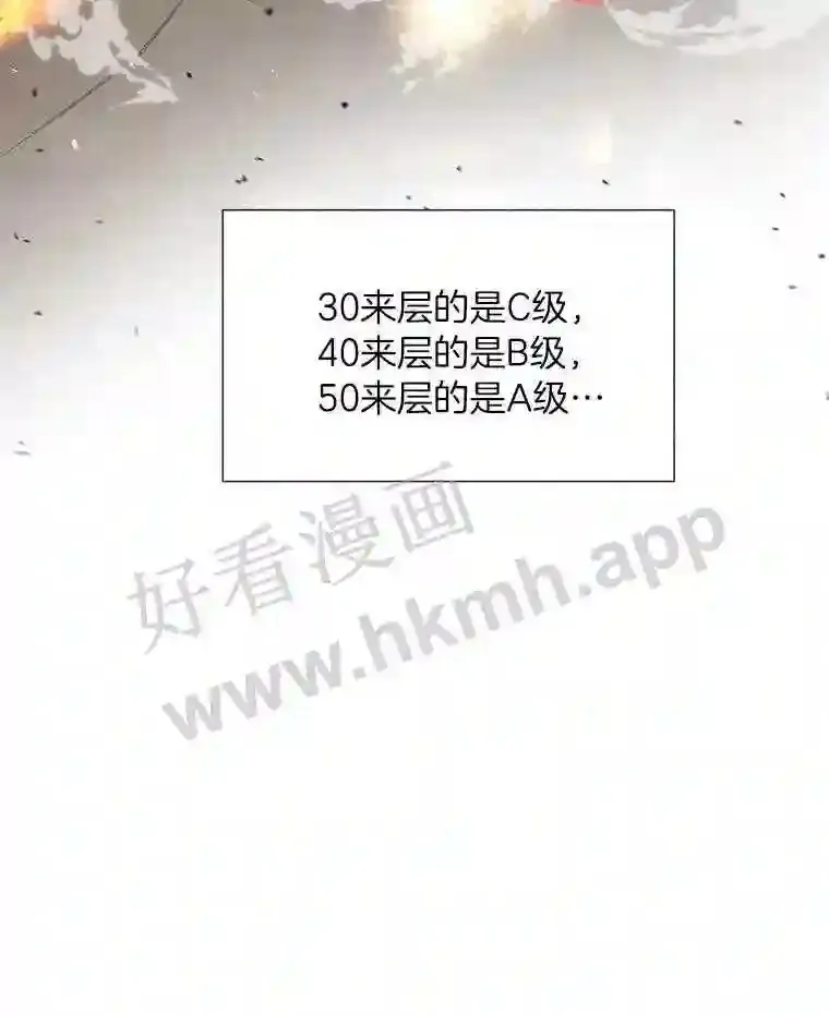 1.斗犬场25