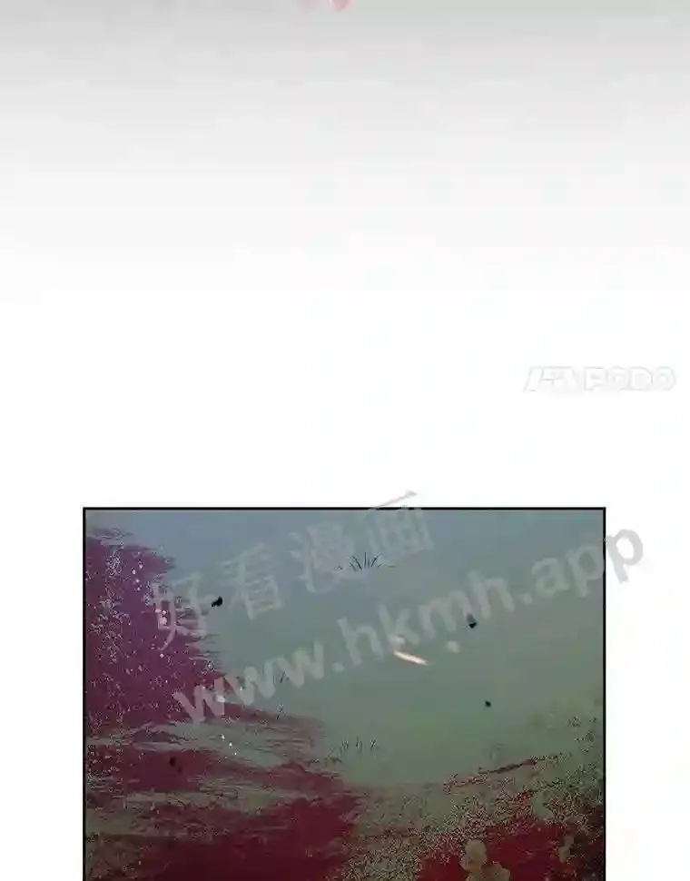 1.斗犬场157