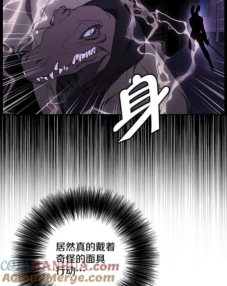 36.兔子36