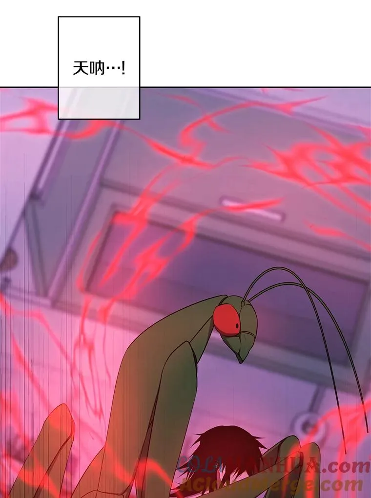 111.克拉克6