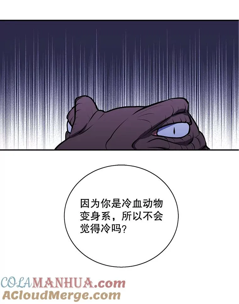 36.兔子40