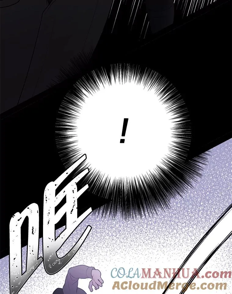 36.兔子28