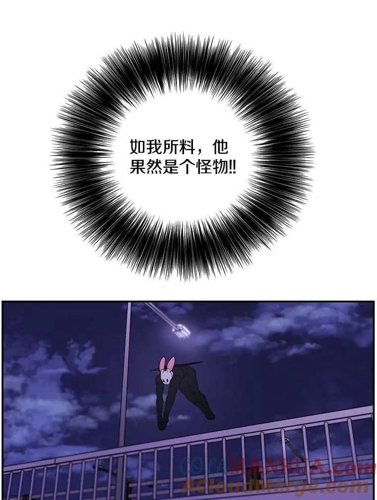 36.兔子48