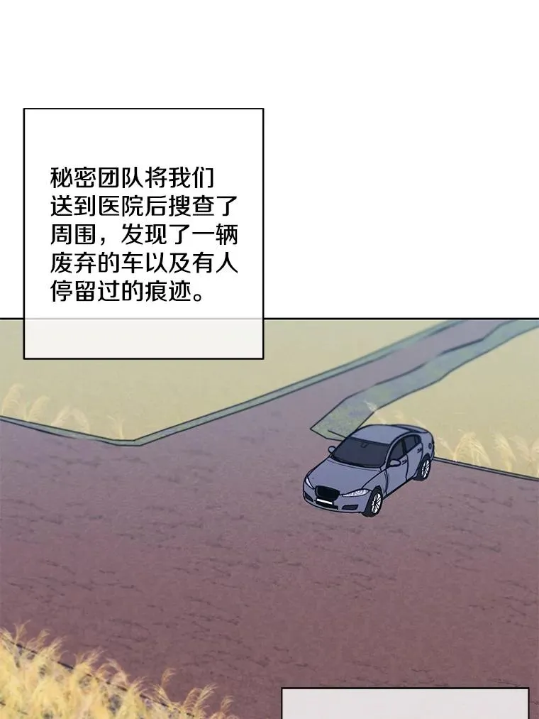 81.幕后主使81
