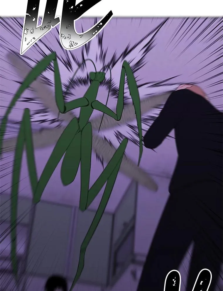 111.克拉克82