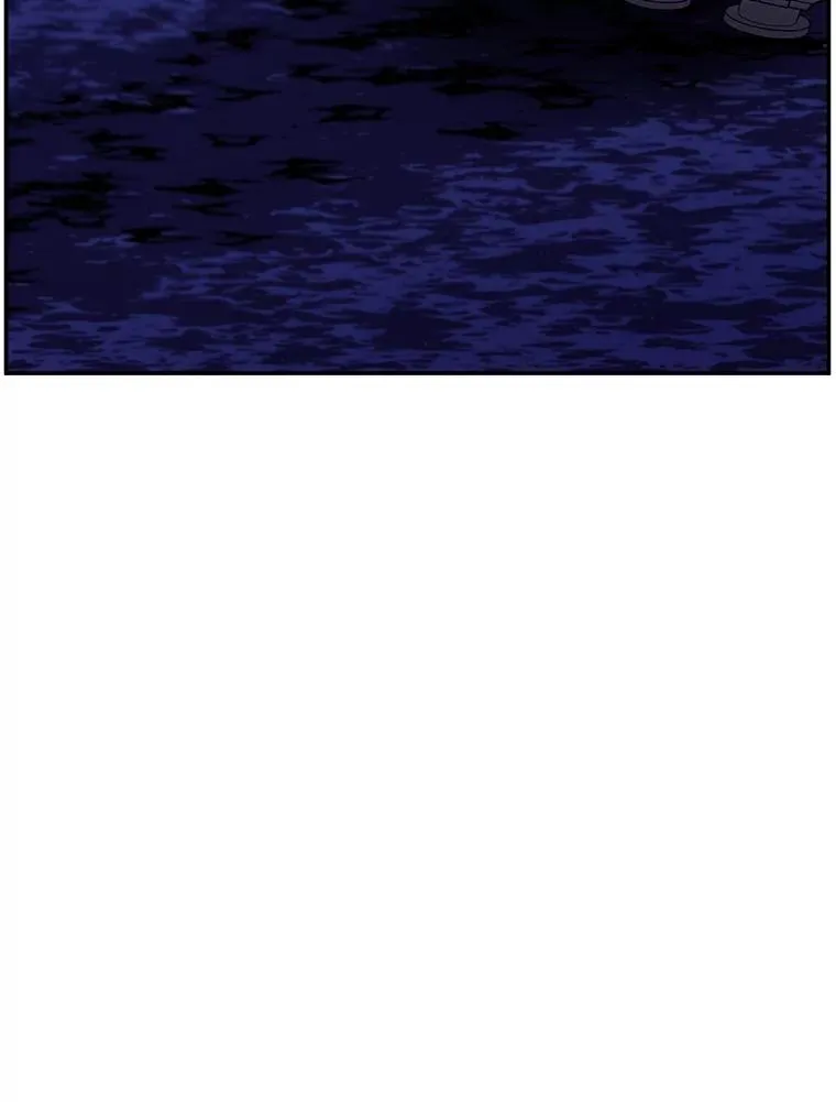 36.兔子13