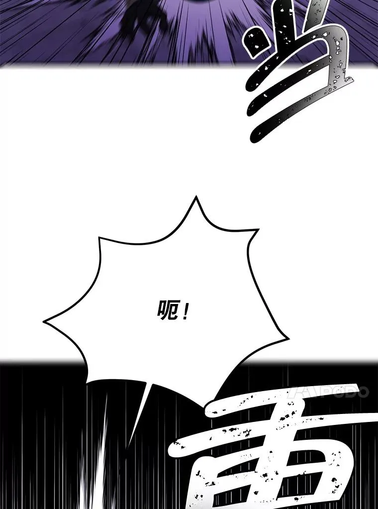 36.兔子66