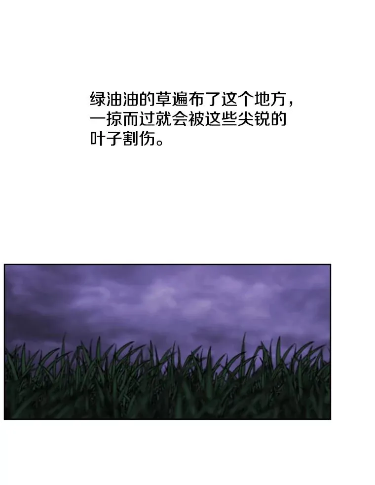 49.战斗28