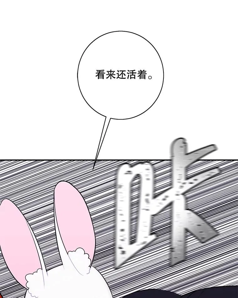 36.兔子74