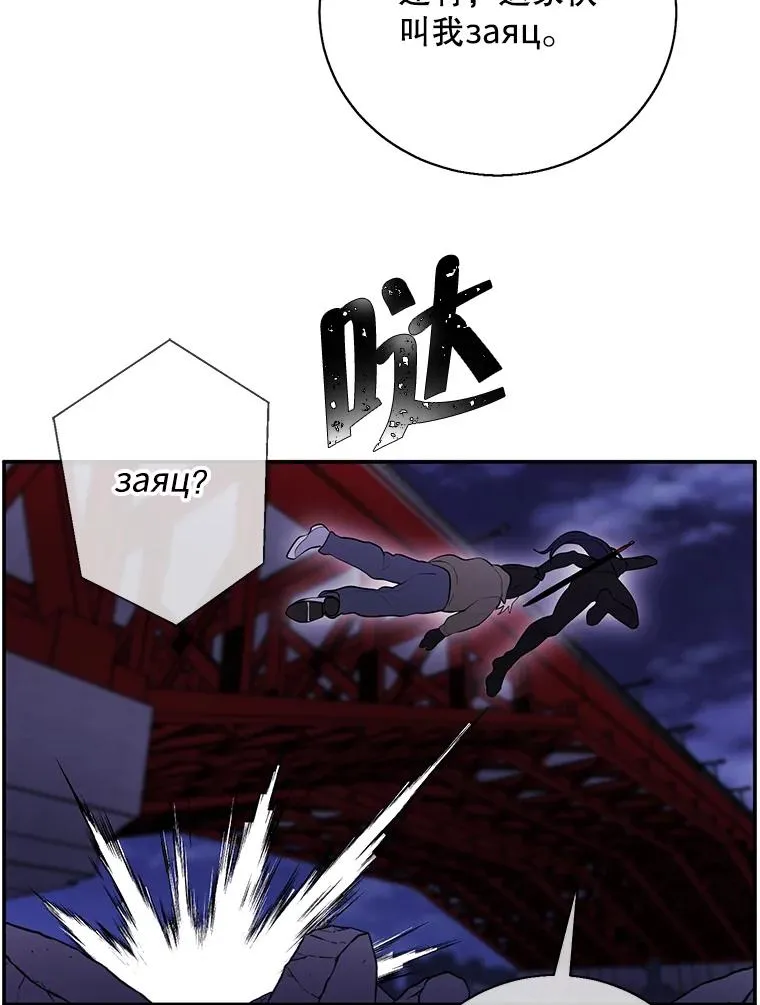 36.兔子97