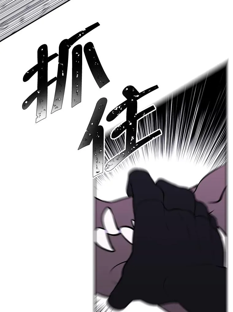36.兔子61