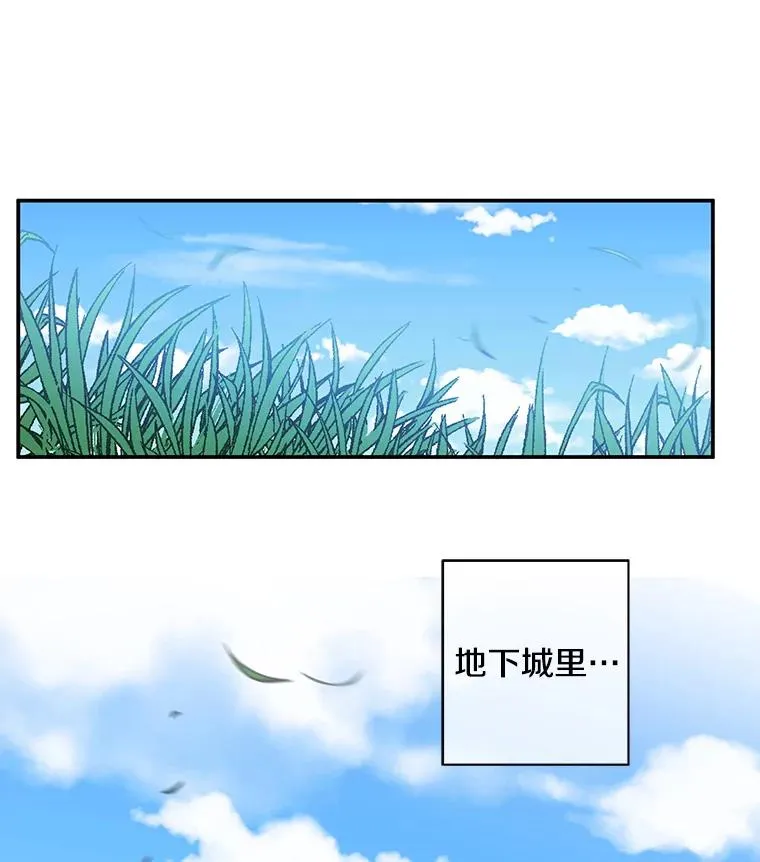 16.1级地下城41