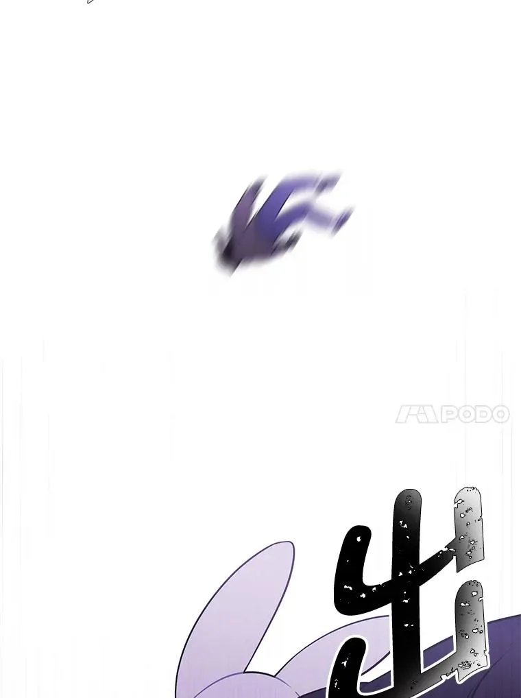 36.兔子63