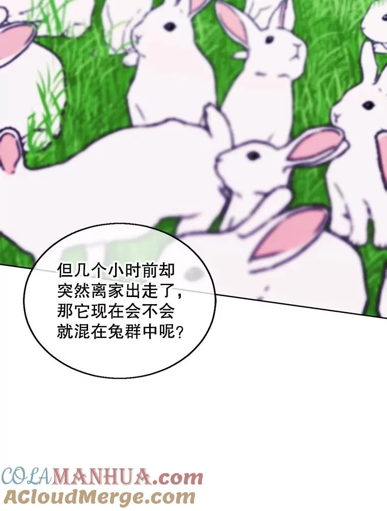 55.离家出走的兔子96