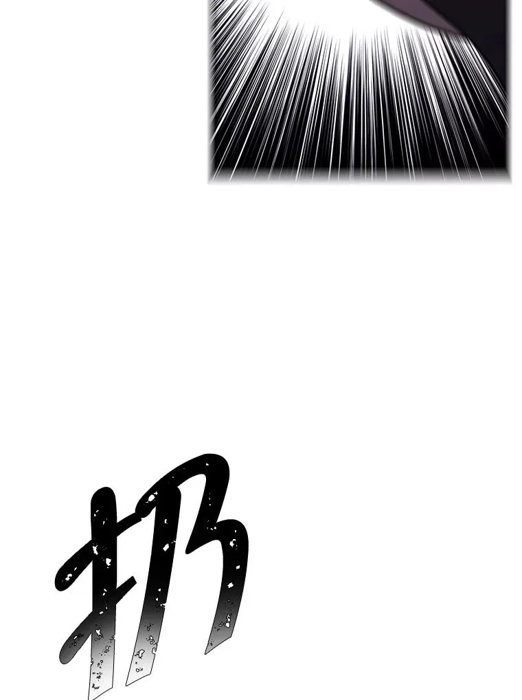 36.兔子62