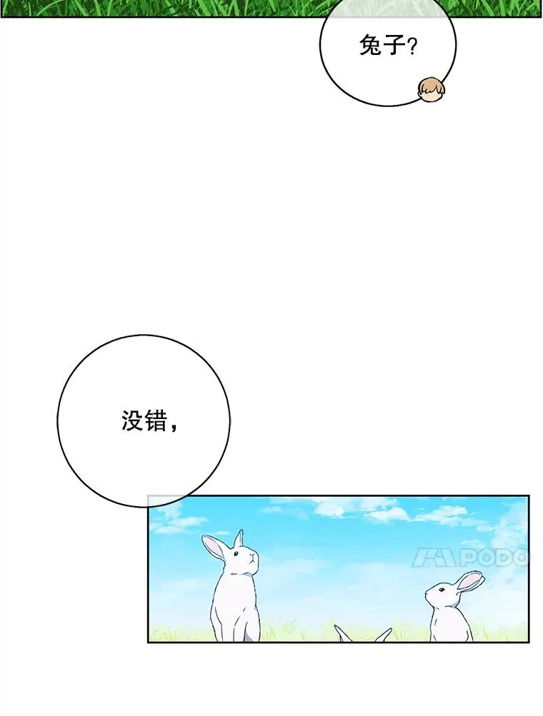 55.离家出走的兔子90