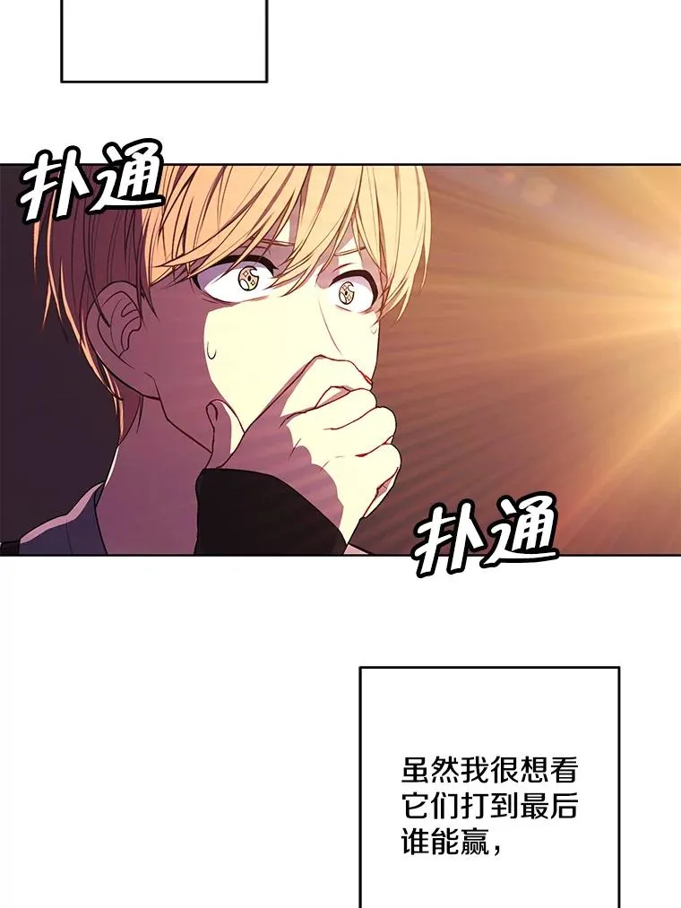 55.离家出走的兔子50