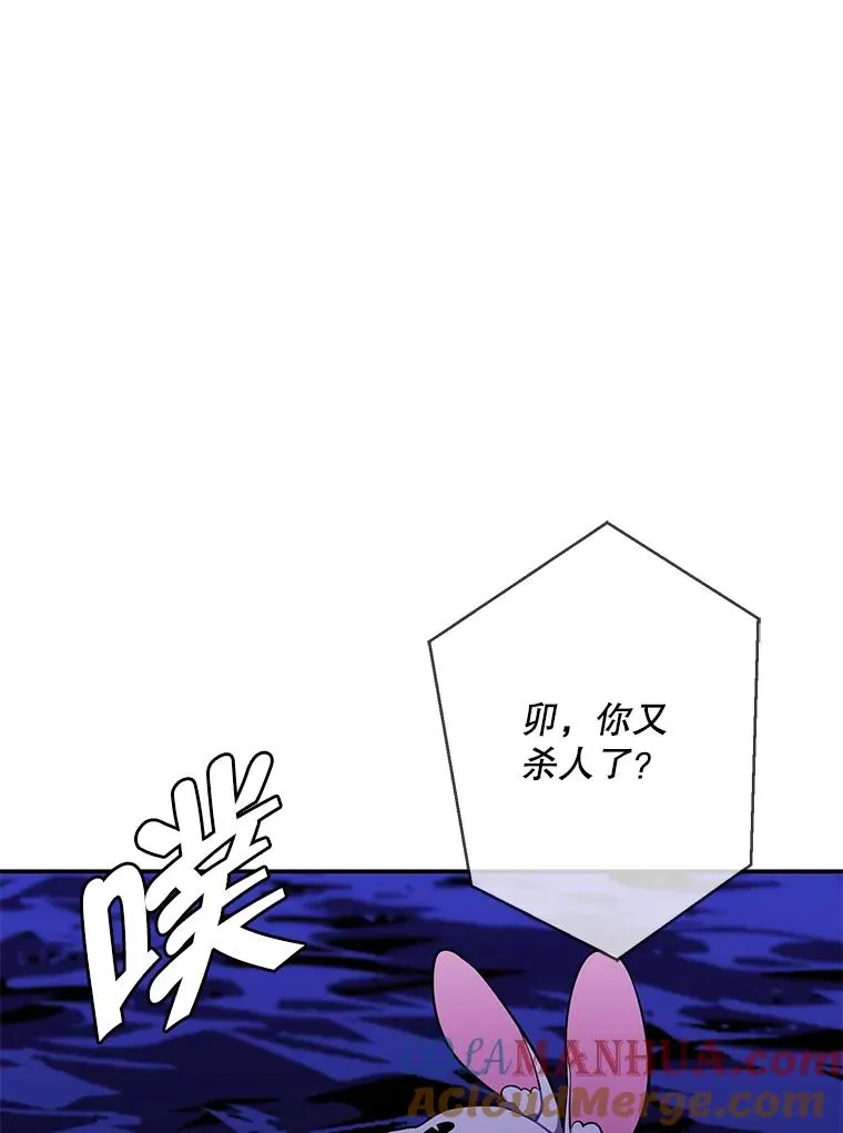 36.兔子84