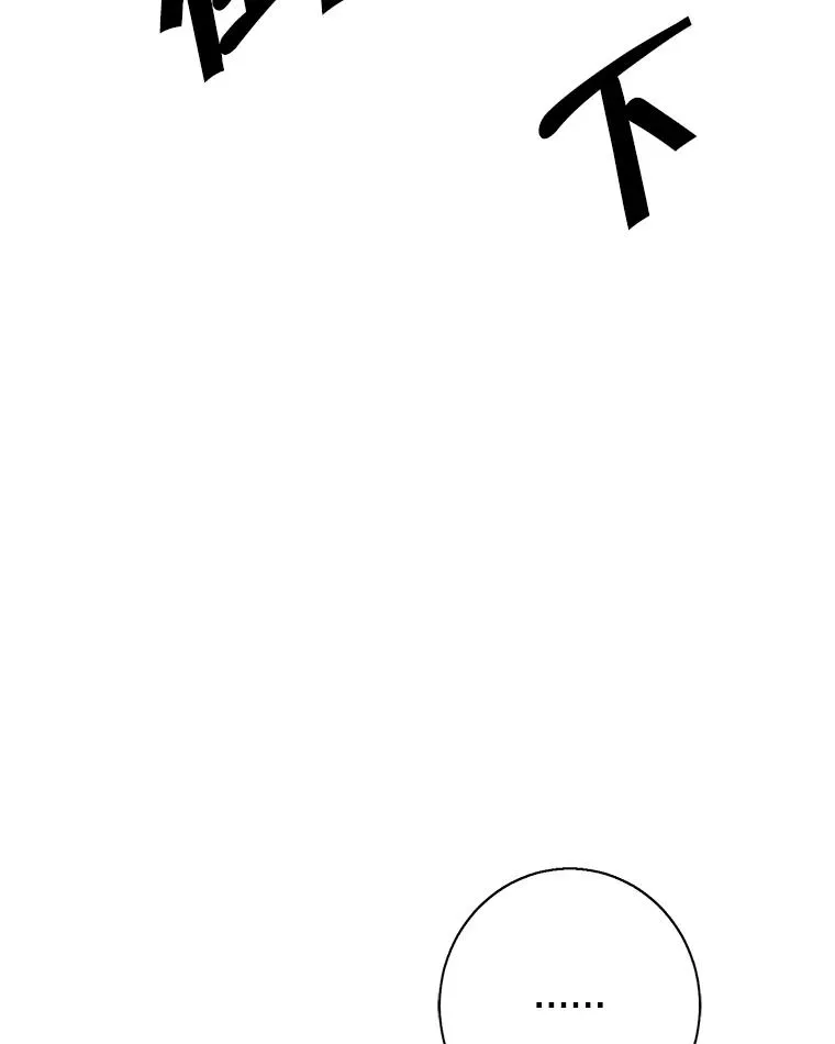 36.兔子78