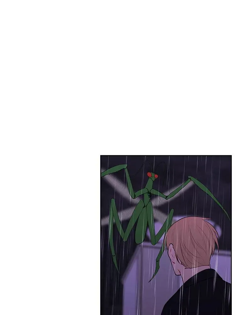 112.既定的死亡13