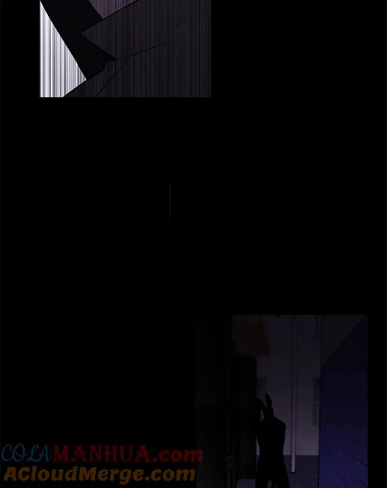 36.兔子32