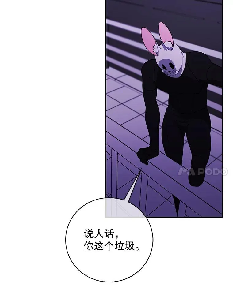 36.兔子47