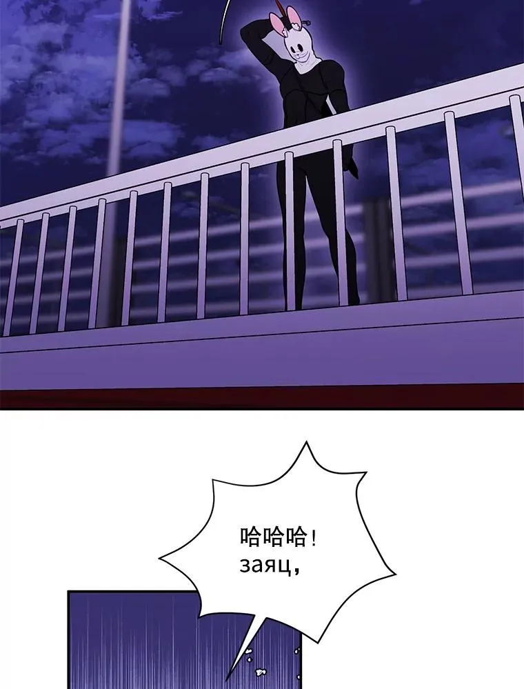 36.兔子45