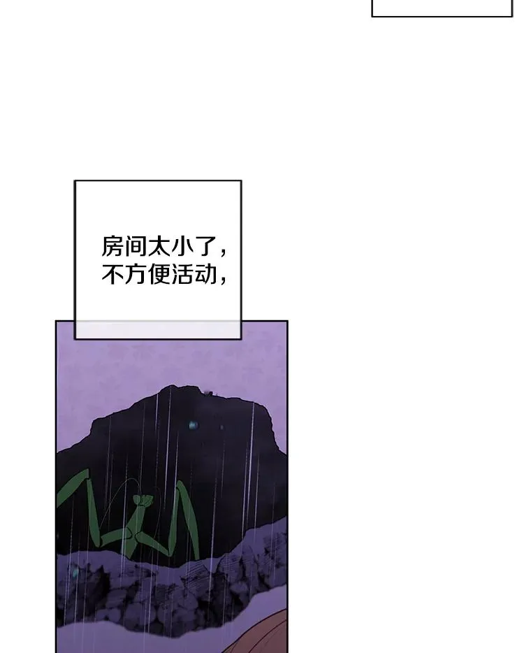 111.克拉克88