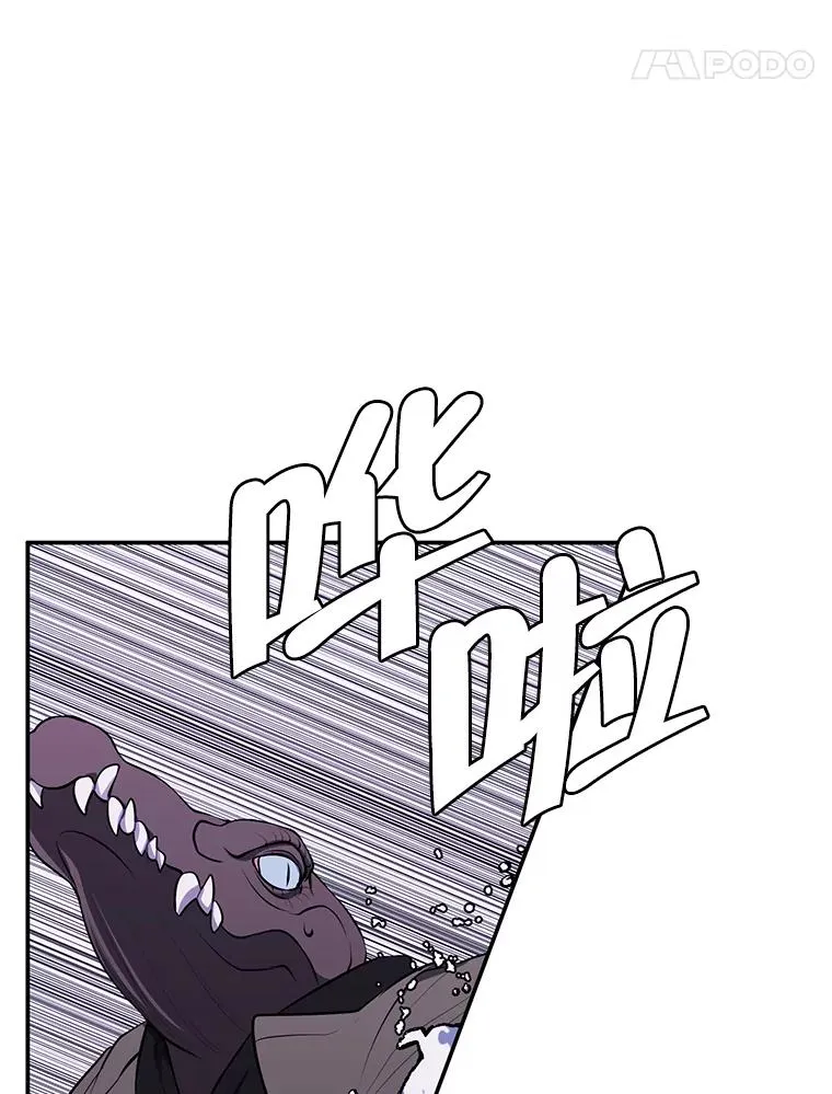 36.兔子41