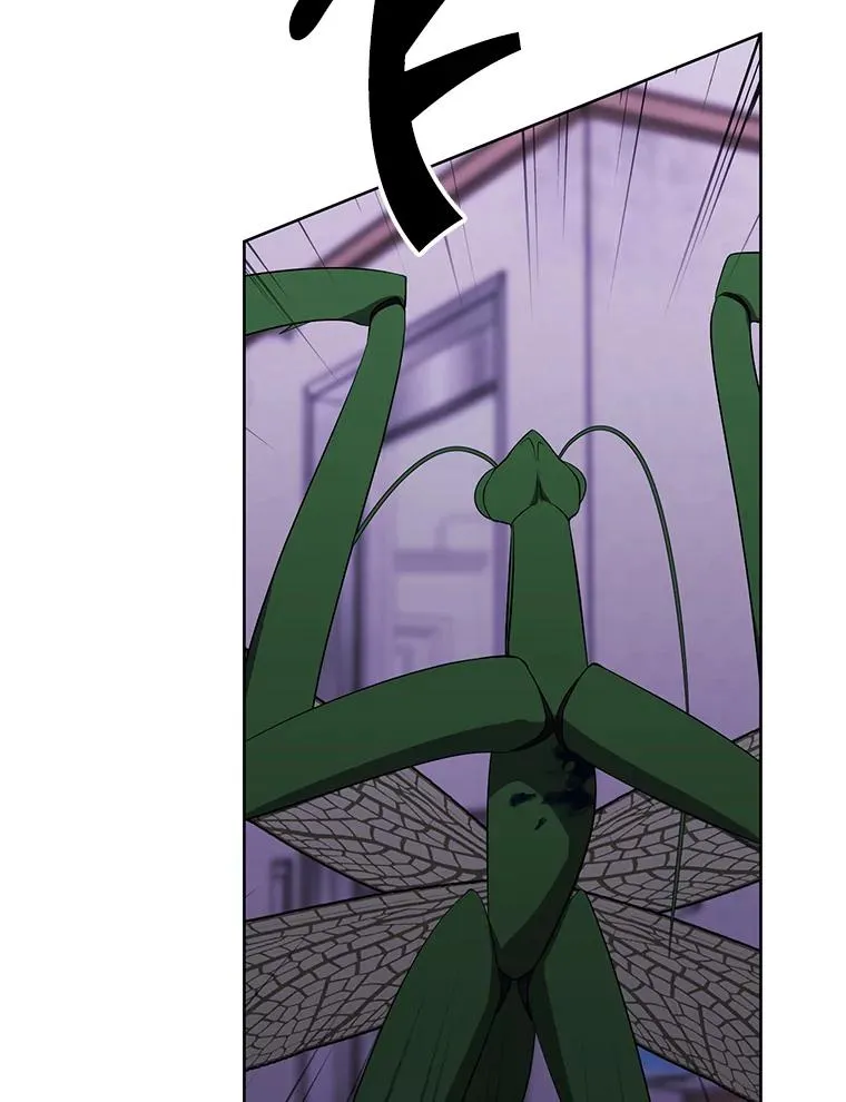 111.克拉克80