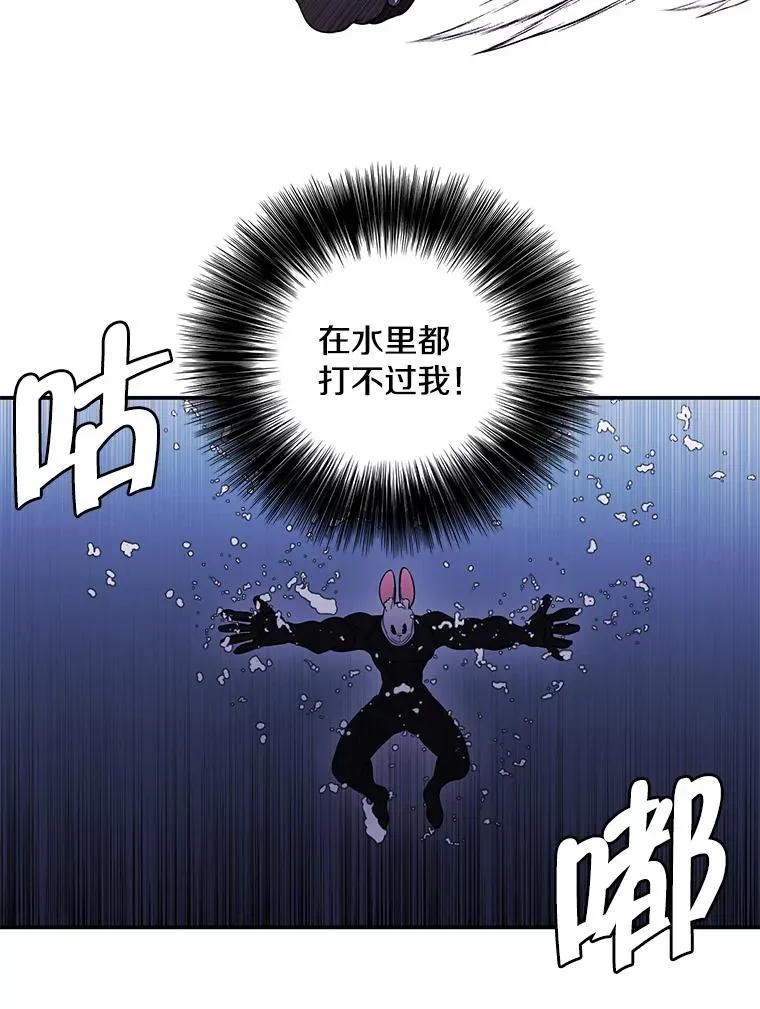 36.兔子53