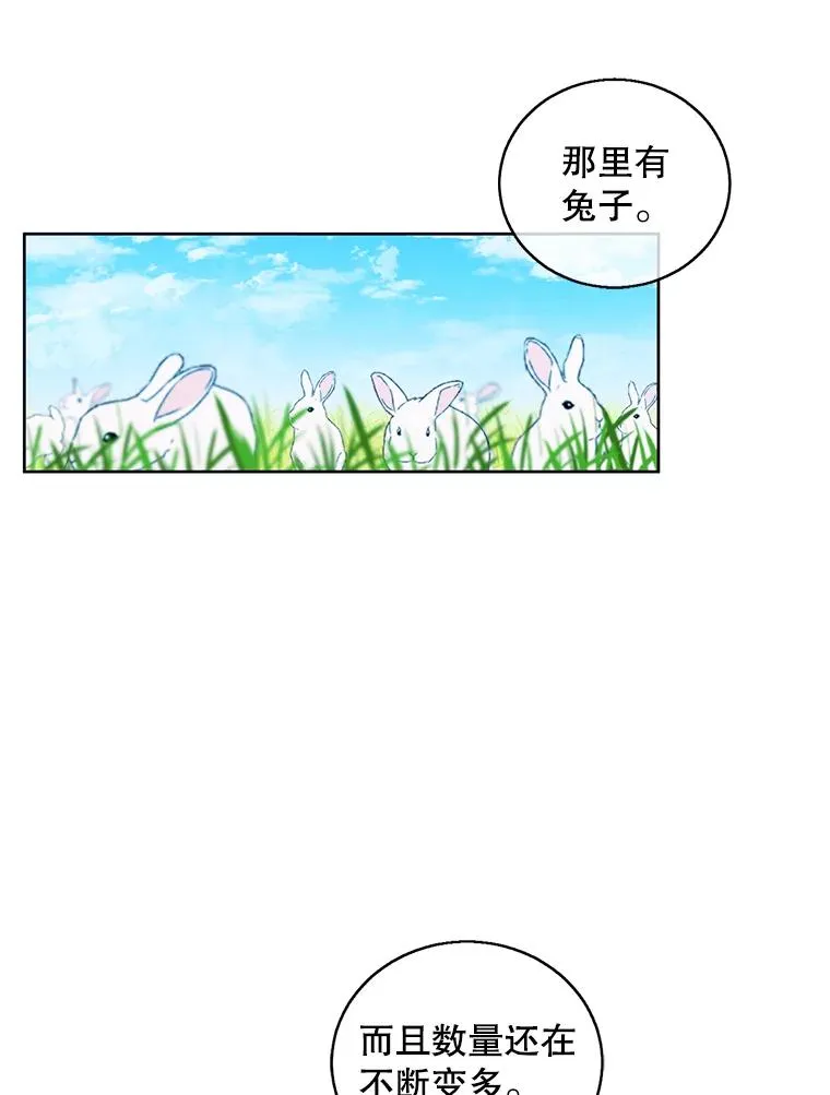 55.离家出走的兔子91