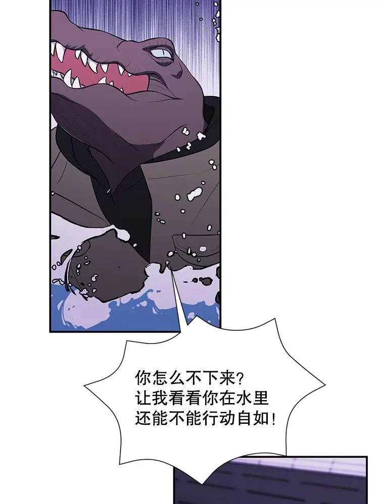 36.兔子46