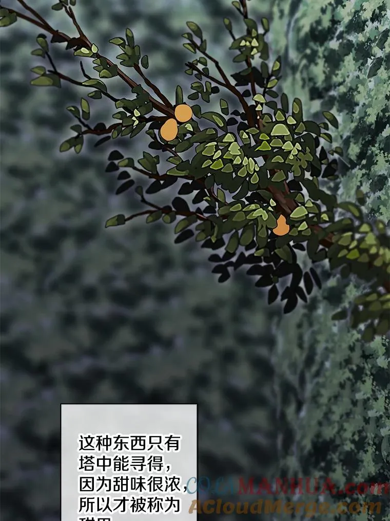 149.一层的攻略法36