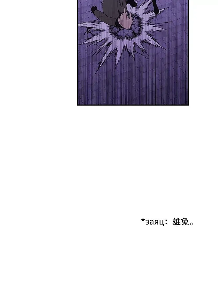 36.兔子101