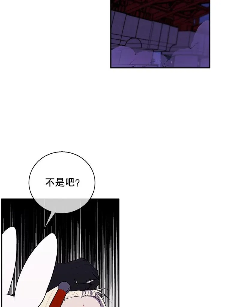 36.兔子71