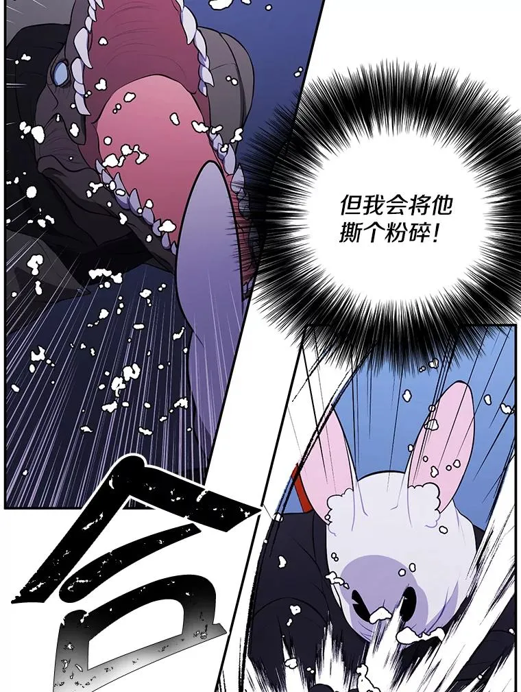 36.兔子55