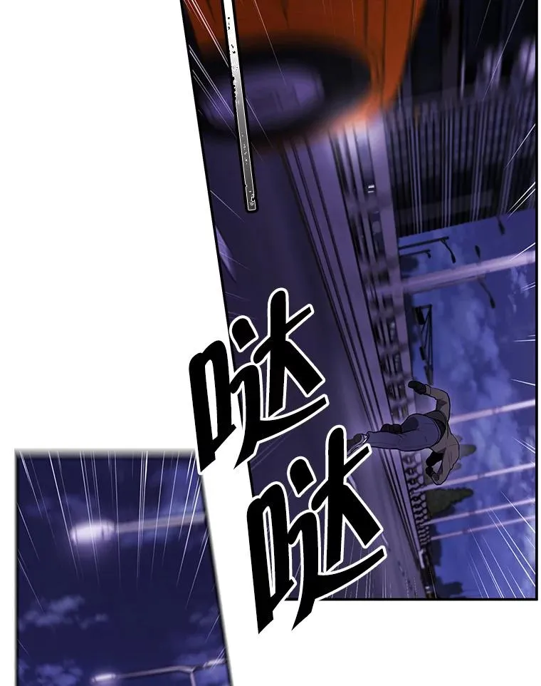 36.兔子5