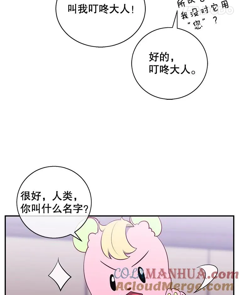 15.次元商人51