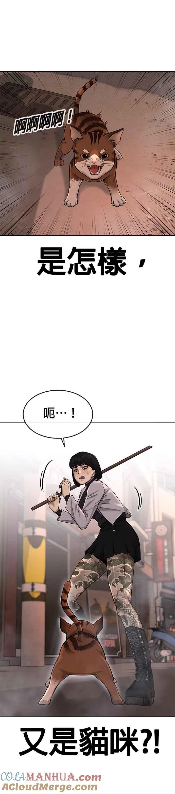 第47话 既然如此，一开始就不该激怒我啊15