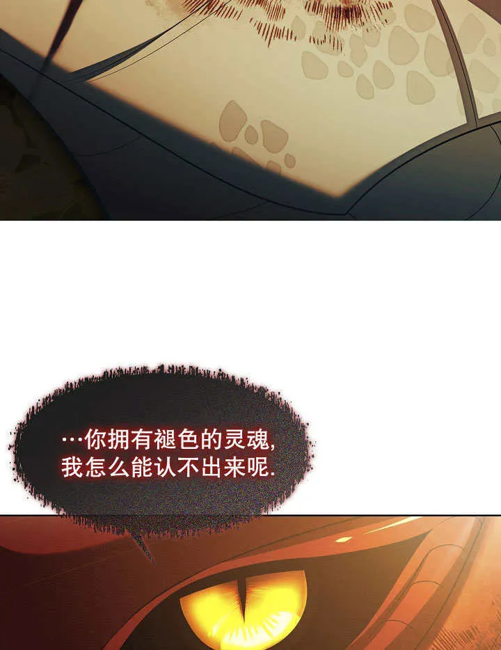 第33话66