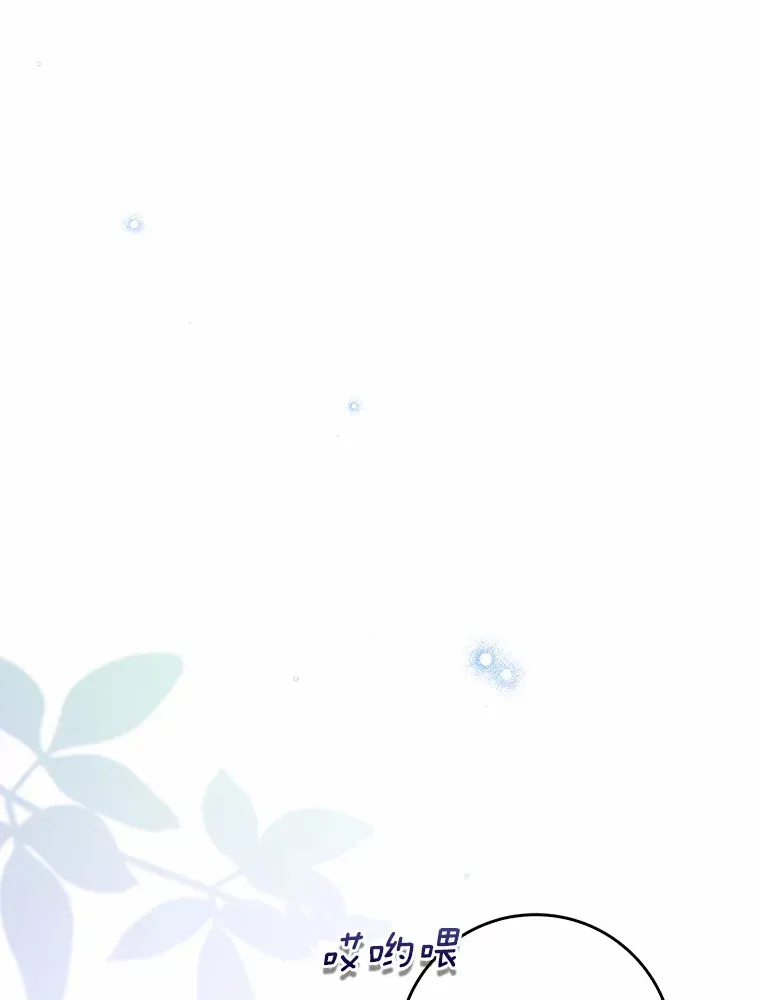 40.神秘的西卡勒144