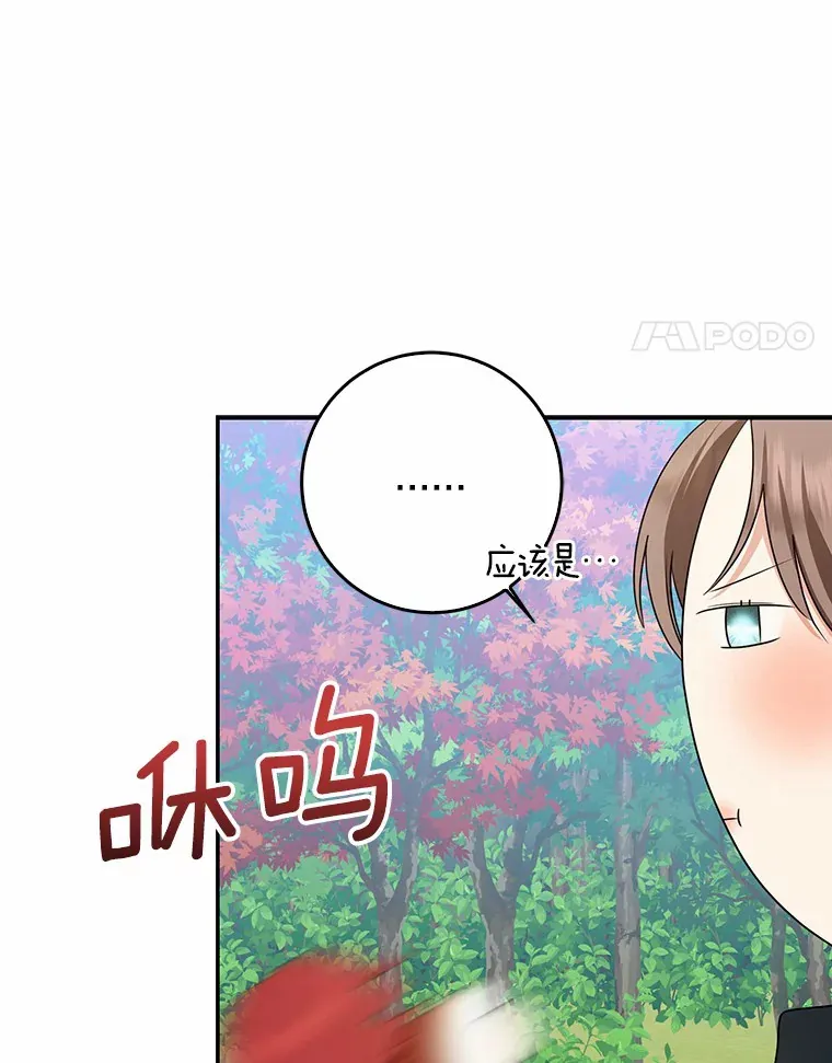 47.深树林63