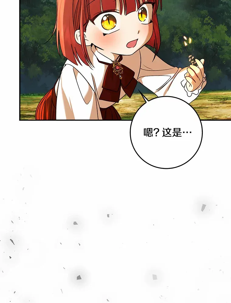 40.神秘的西卡勒89