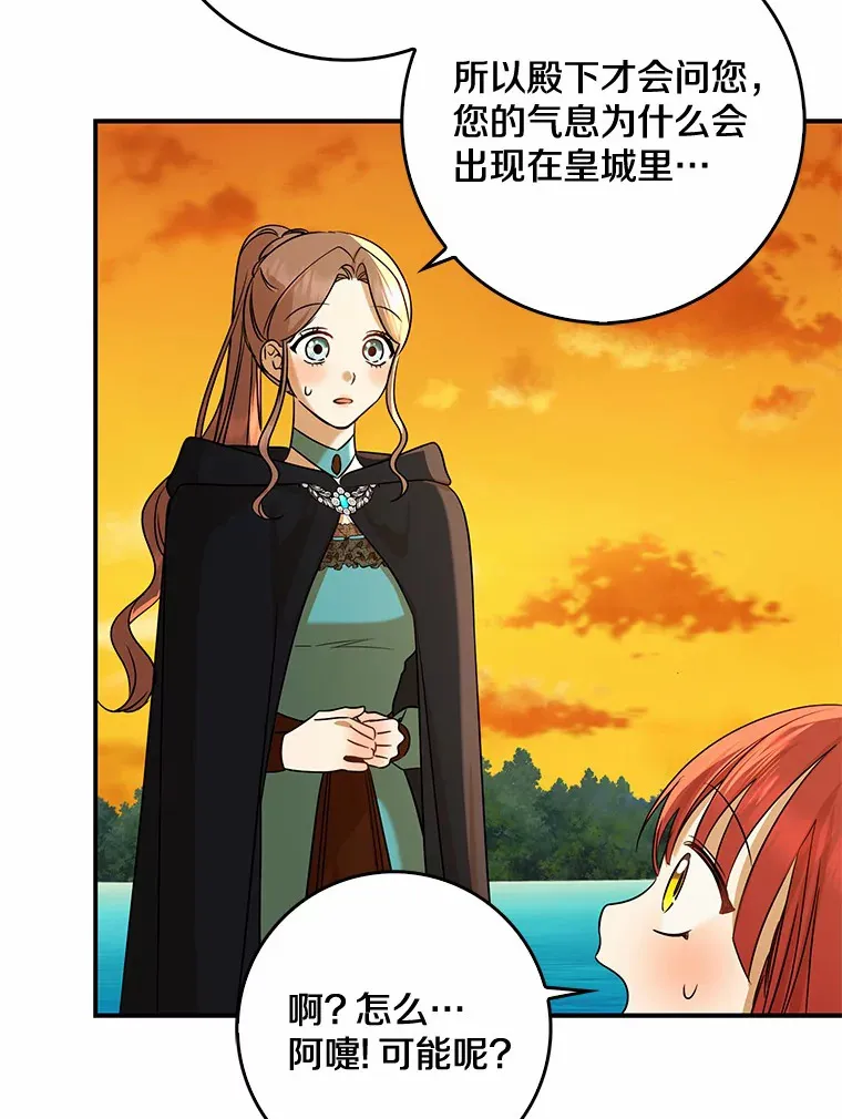 40.神秘的西卡勒102