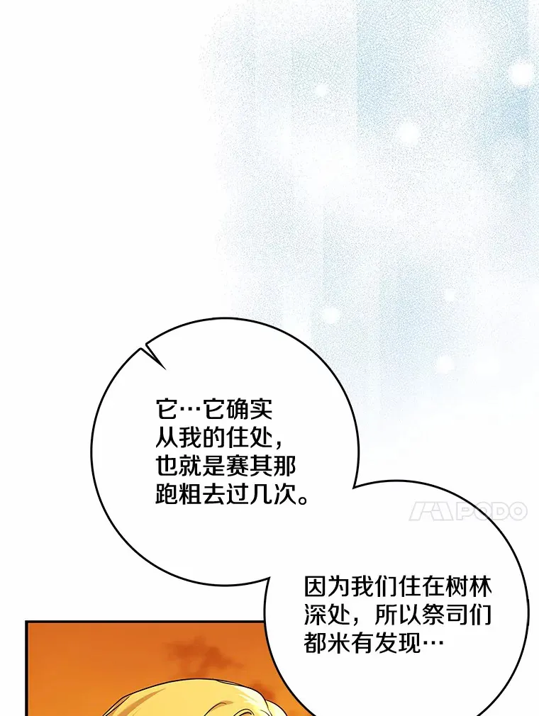 40.神秘的西卡勒104