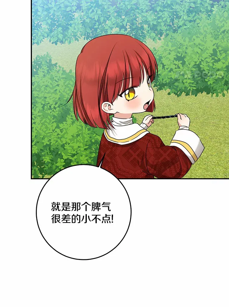 47.深树林86